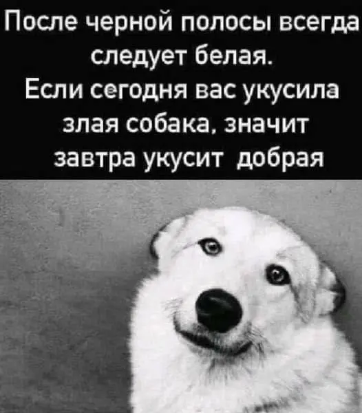 Сегодня мемная пятница! А это значит пора обменяться мемами. В прошлый самый популярный мем был от @Nadzej👆
Спасибо за активность!)
Публикуй мемы в комментариях и голосуй за другие любой реакцией | Сетка — социальная сеть от hh.ru