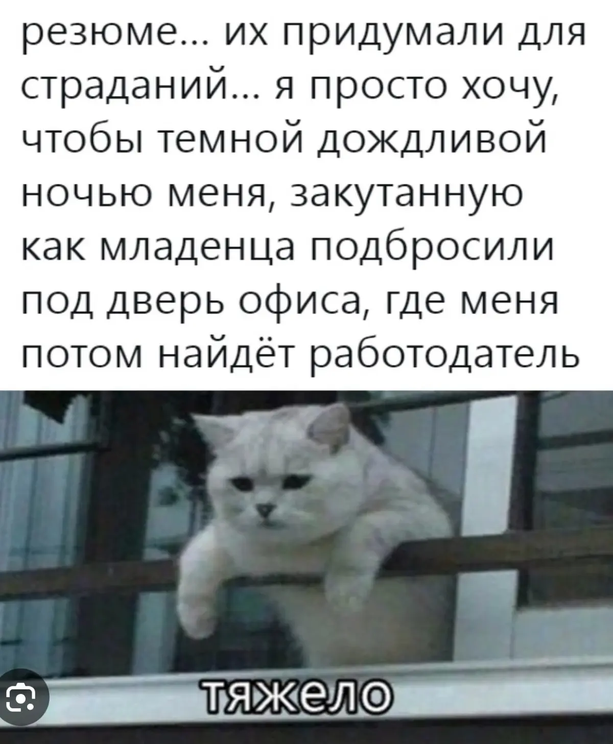 Синдром самозванца сидит в диафрагме | Сетка — социальная сеть от hh.ru