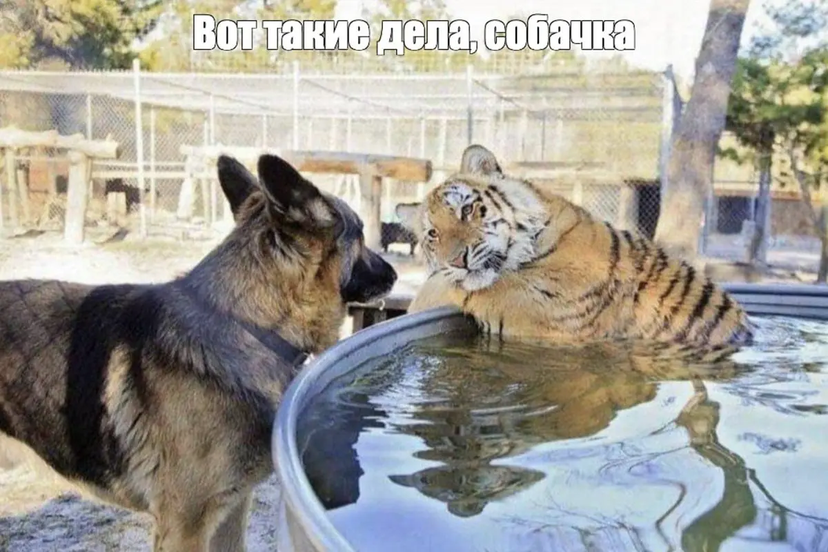 Как уже многим известно, с 1 сентября 2026 года «сверхурочка» стала отдельной зоной внимания для специалистов по охране труда и кадровиков | Сетка — социальная сеть от hh.ru