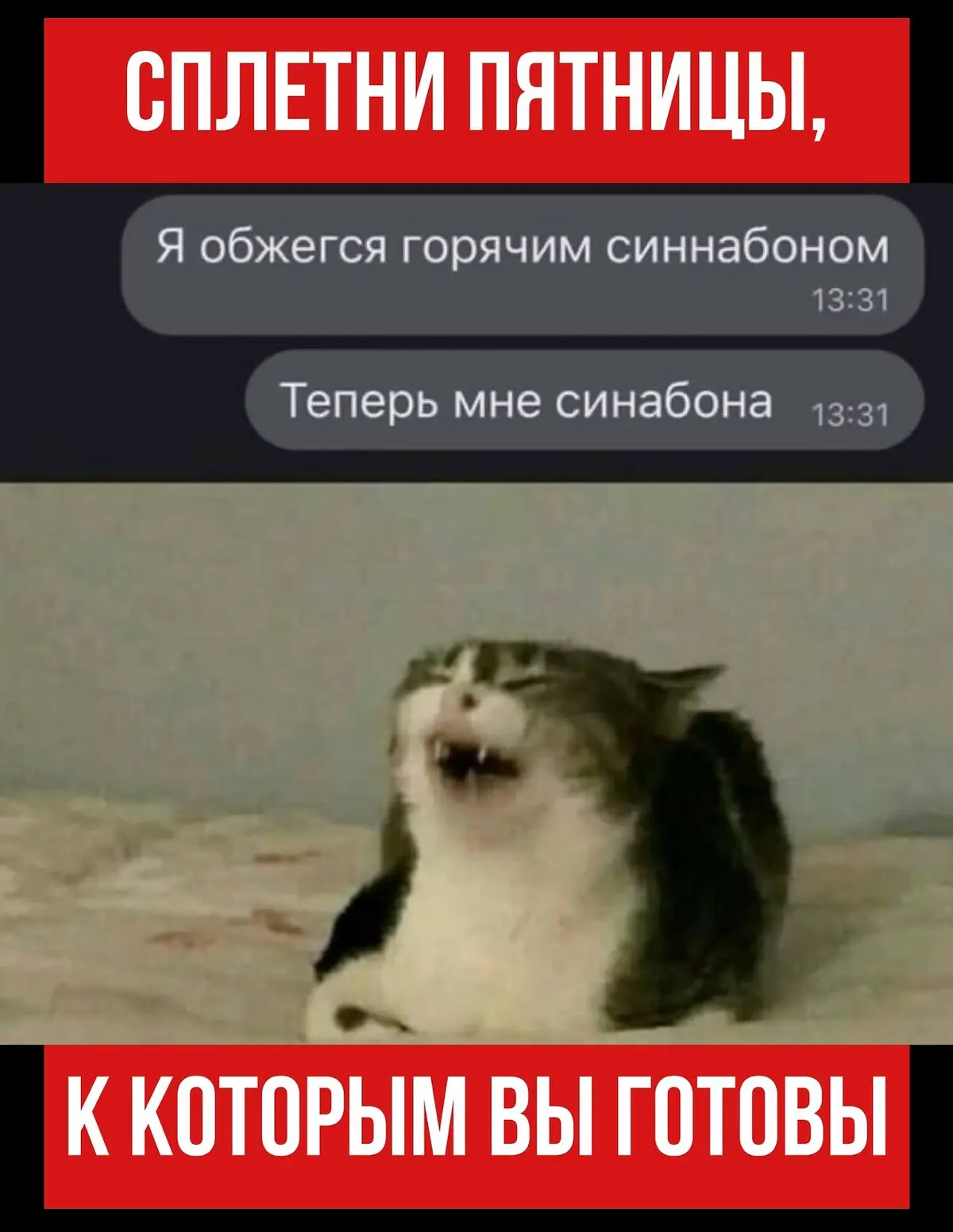 Это все новости к этому часу 🤷‍♀️ | Сетка — социальная сеть от hh.ru