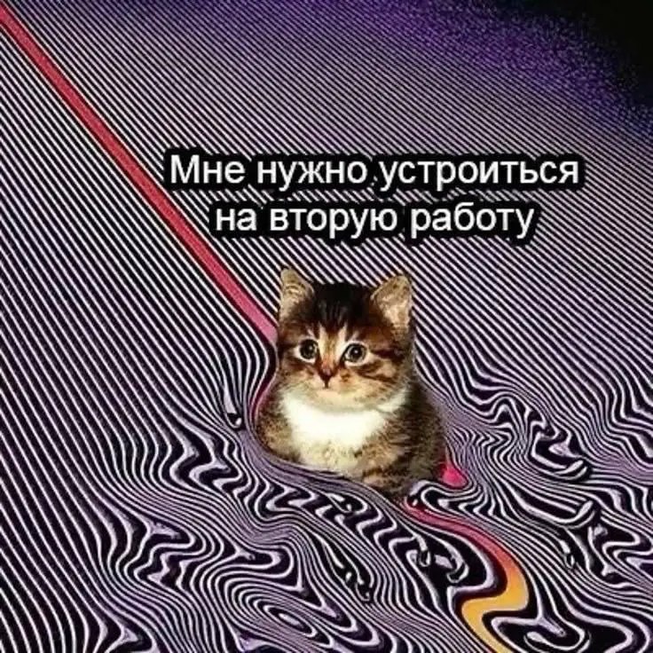 Или третью…
#Интересное | Сетка — социальная сеть от hh.ru