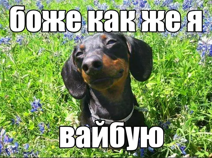 Работа мечты 🌸 | Сетка — социальная сеть от hh.ru