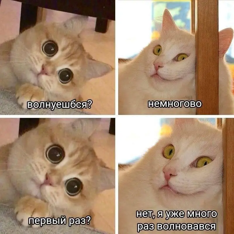 Про меня 😂 | Сетка — социальная сеть от hh.ru