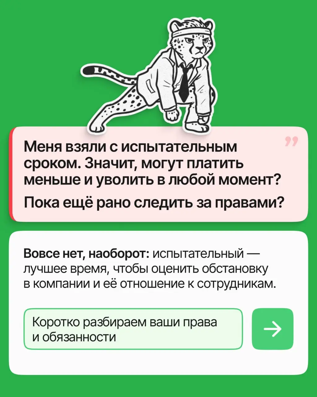 Испытательный срок часто кажется временем, когда надо помалкивать и не задавать лишних вопросов. На деле в это время прав у вас не меньше, чем у штатных | Сетка — социальная сеть от hh.ru