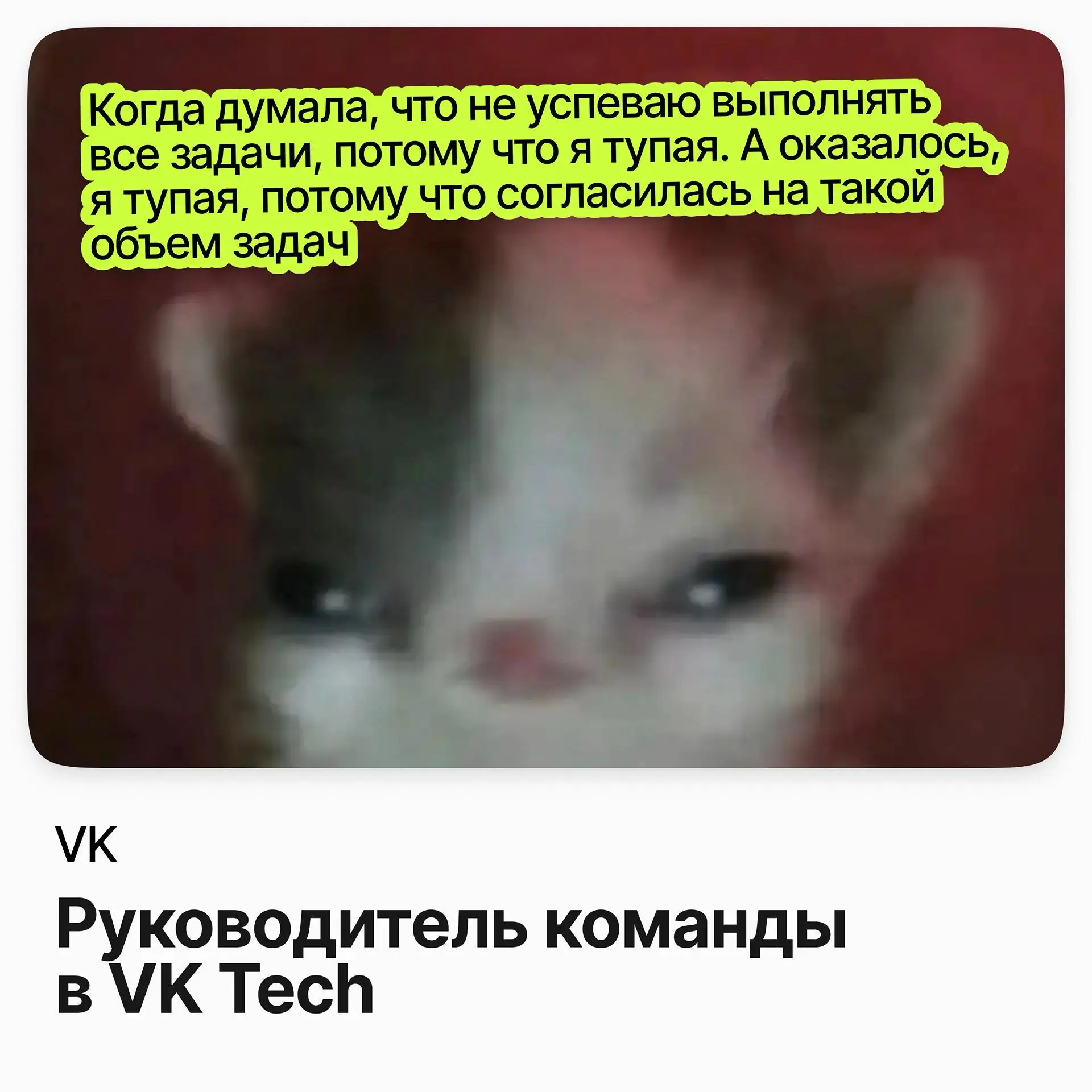 ⚙️ Руководитель команды в VK Tech / VK
VK Tech — корпоративное направление VK: облачные сервисы и решения для бизнеса | Сетка — социальная сеть от hh.ru