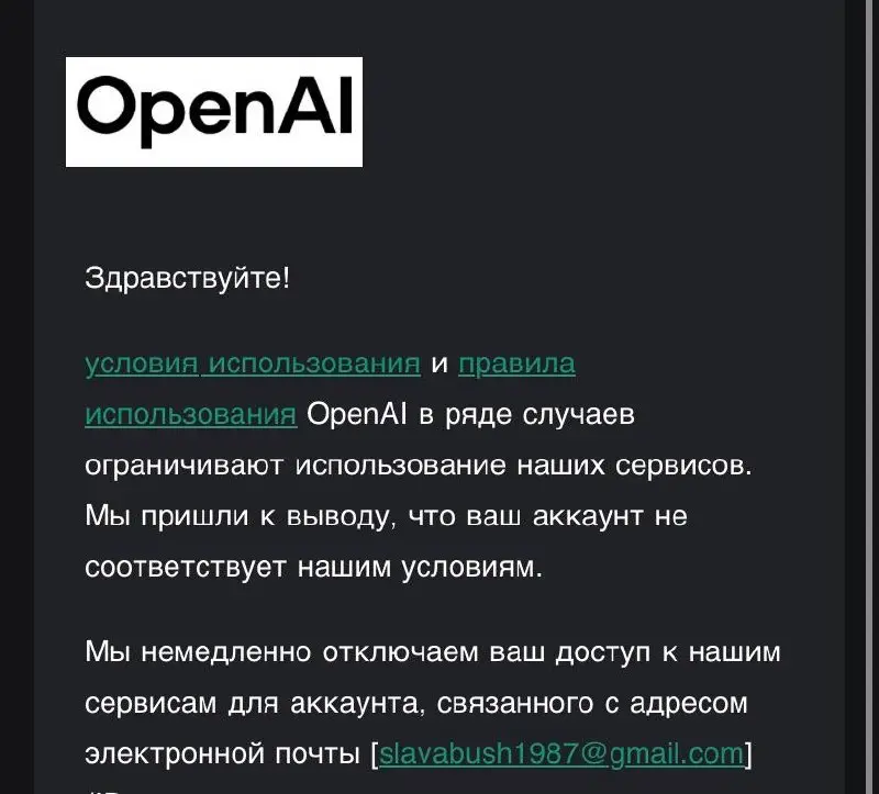 Неожиданный поворот
Вдруг кто не в курсе, я живу на Бали и блокировки нейросетей в теории мало вероятны. И вот тут свое интересное | Сетка — социальная сеть от hh.ru
