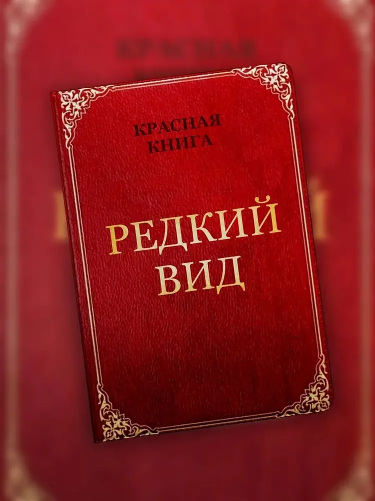 Я — редкий вид. И это моё преимущество | Сетка — социальная сеть от hh.ru