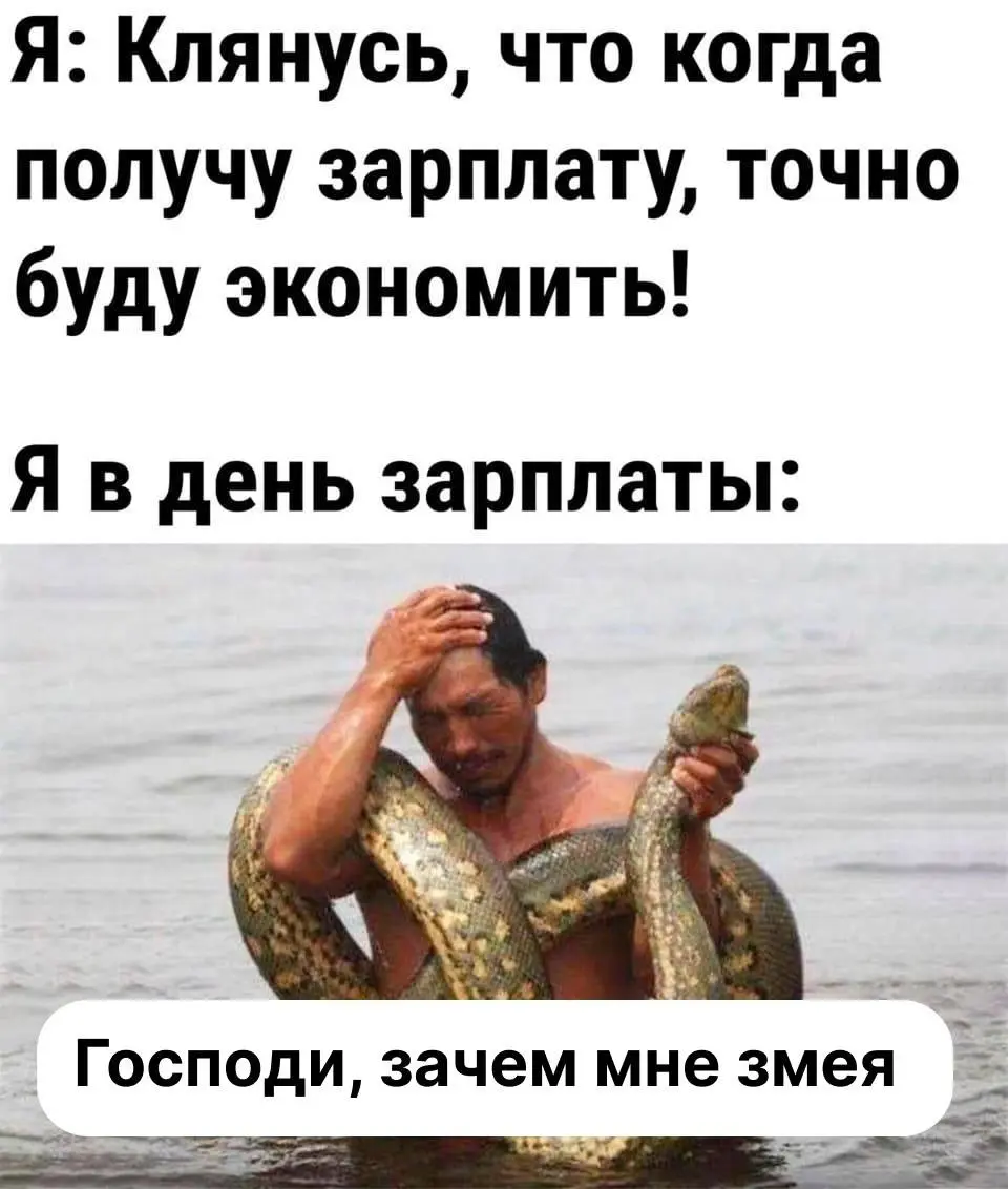 Зачем мне змея? 😄 | Сетка — социальная сеть от hh.ru