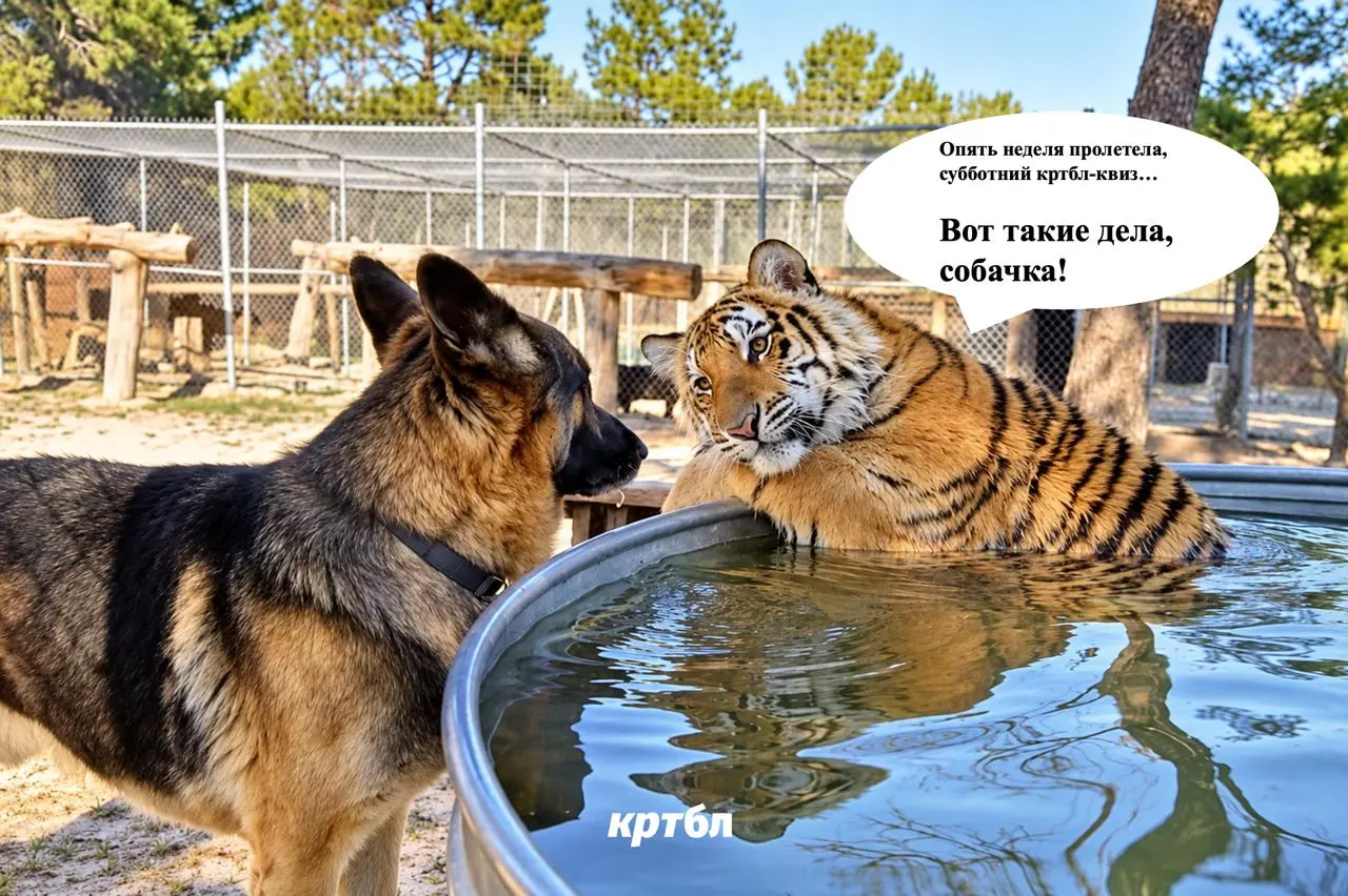 Квиз этих выходных
Порастягивать свое чувство брендинга можно в квизах предыдущих недель | Сетка — социальная сеть от hh.ru