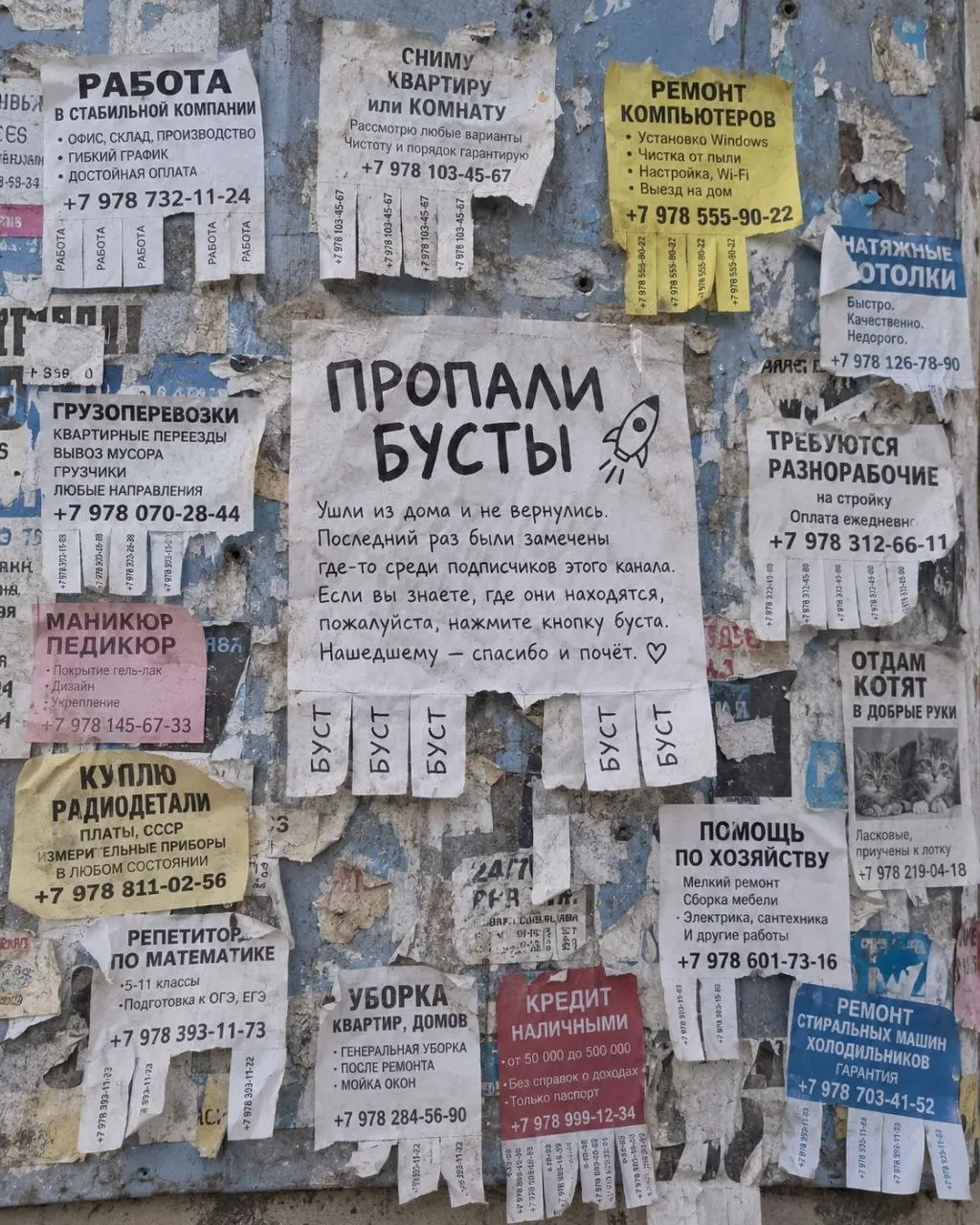 Внимание! Пропали бусты! Помочь найти можно по ссылке:
Хотел добавить вам кастом эмодзи и ничего не получилось... Выручайте.
В этом посте были ссылки, но мы их удалили по правилам Сетки | Сетка — социальная сеть от hh.ru