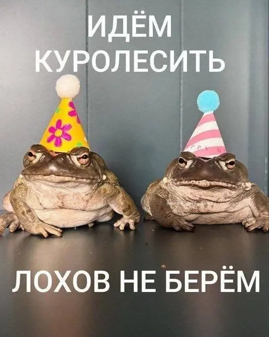 Сегодня на Avito.Tech.Conf — пишите, если хотите встретиться
https://avito.tech/conference2026
👨‍💻Продакт поехал #personal
В этом посте были ссылки, но мы их удалили по правилам Сетки | Сетка — социальная сеть от hh.ru