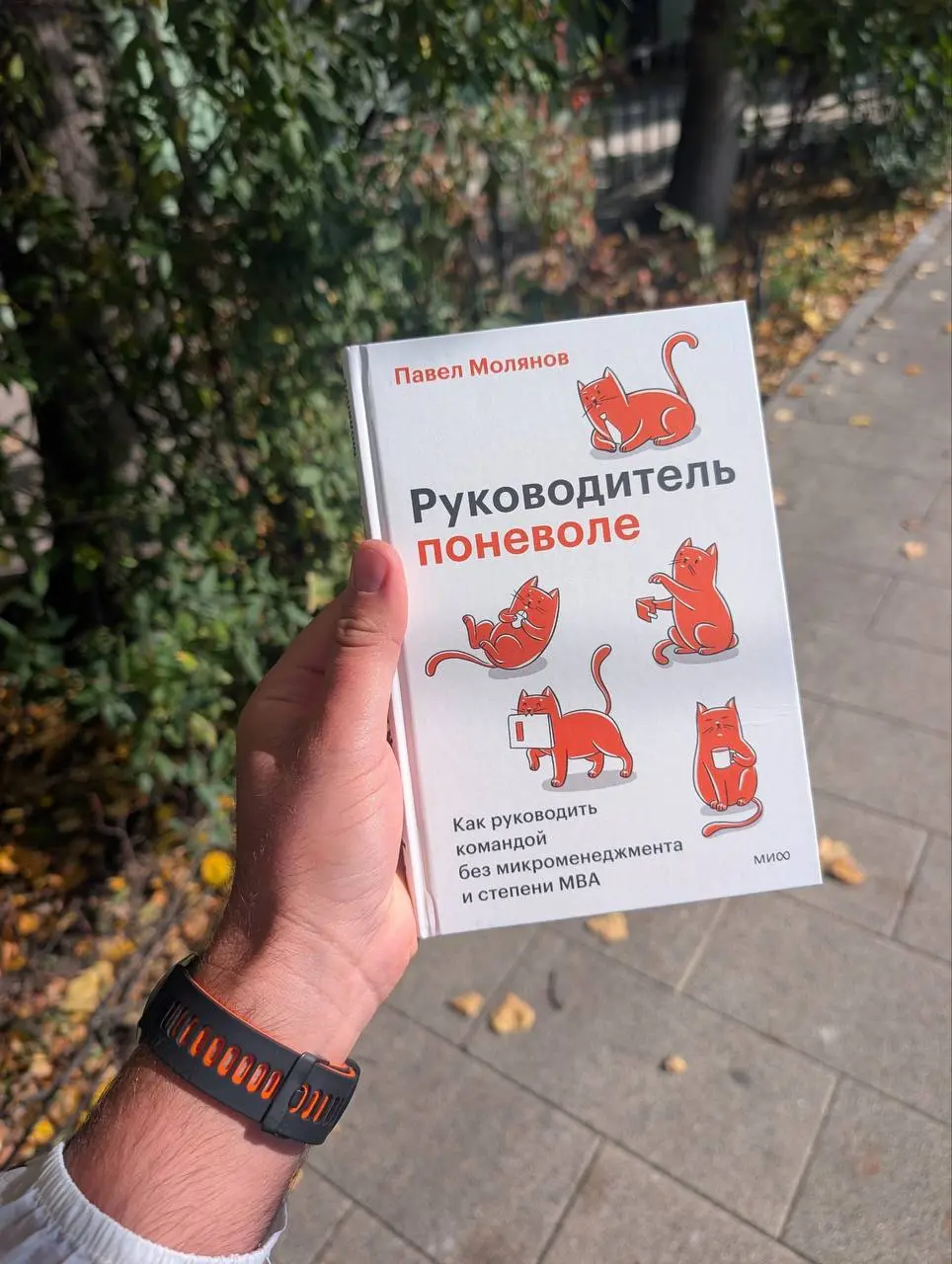 Тут @ashomko намекает, что моя книга наконец вышла! | Сетка — социальная сеть от hh.ru
