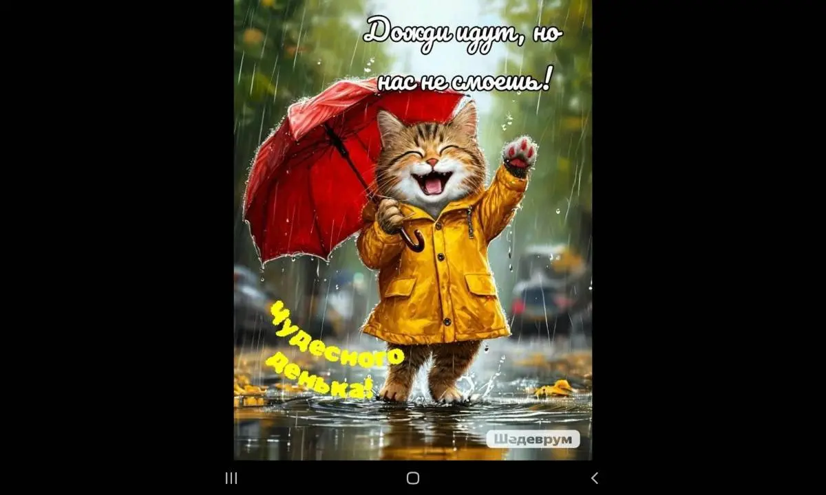 Билдящий Енот
