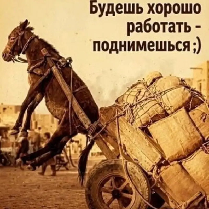 Андрей L-A-W
