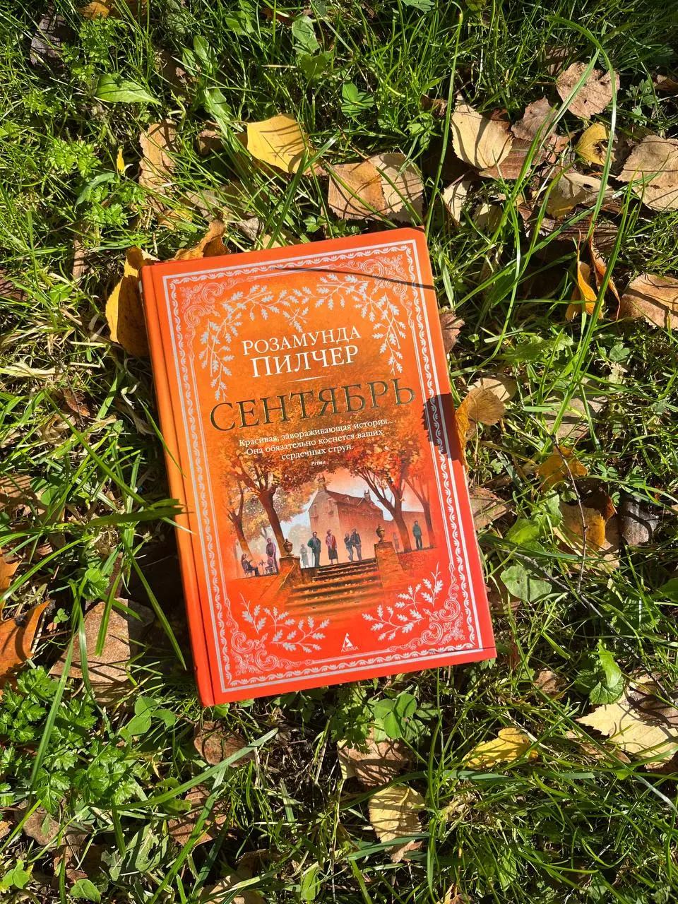сентябрь радует, а вот «Сентябрь» не особо 🍁 | Сетка — социальная сеть от hh.ru
