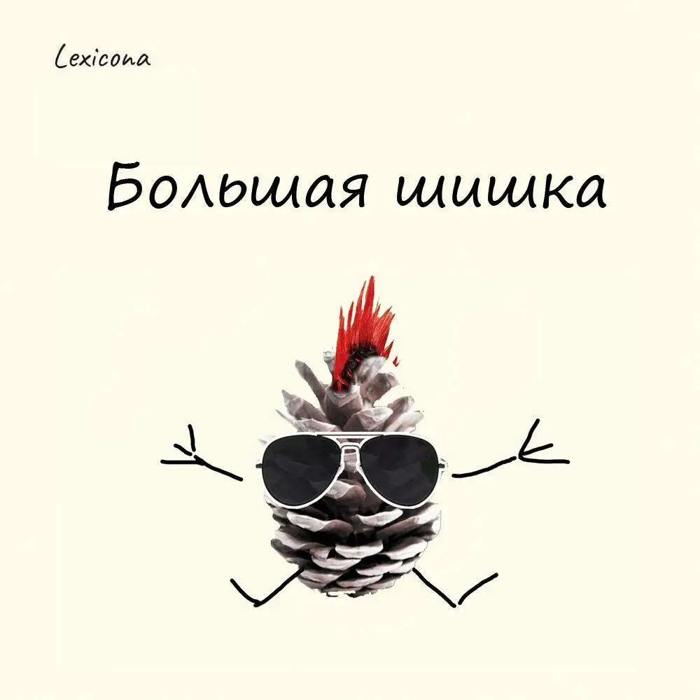Большая шишка
"Он теперь директор, большая шишка!" А почему шишка-то? Неужто потому, что высоко висит, взобравшись по ёлке карьерного роста?
Народная молва выстраивает разные гипотезы | Сетка — социальная сеть от hh.ru