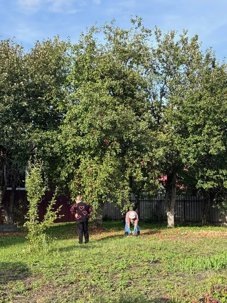 Достигаторство — это твоё осознанное или это всё Москва? | Сетка — социальная сеть от hh.ru