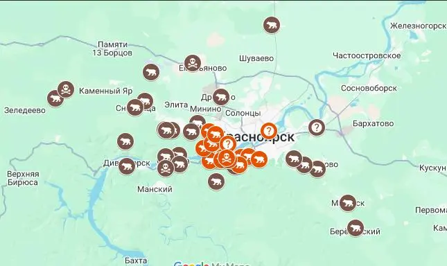 📈Медведи окружают Красноярск
В этом году в России огромная проблема с выходами медведей в населённые пункты; часть из них заканчивается смертями или ранениями | Сетка — социальная сеть от hh.ru