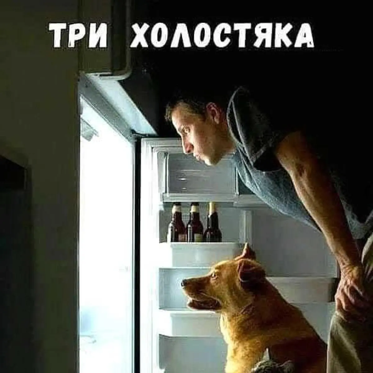 #ЖизньКакЕсть — Сильный и независимый
Вы не поверите, но за год жизни во Владимире я сегодня впервые заправил одеяло в пододеяльник | Сетка — социальная сеть от hh.ru