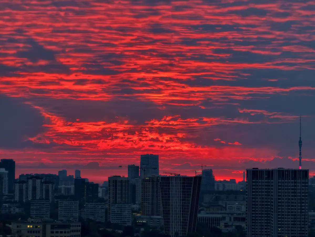 #рассвет #москва #осень #природа #город | Сетка — социальная сеть от hh.ru