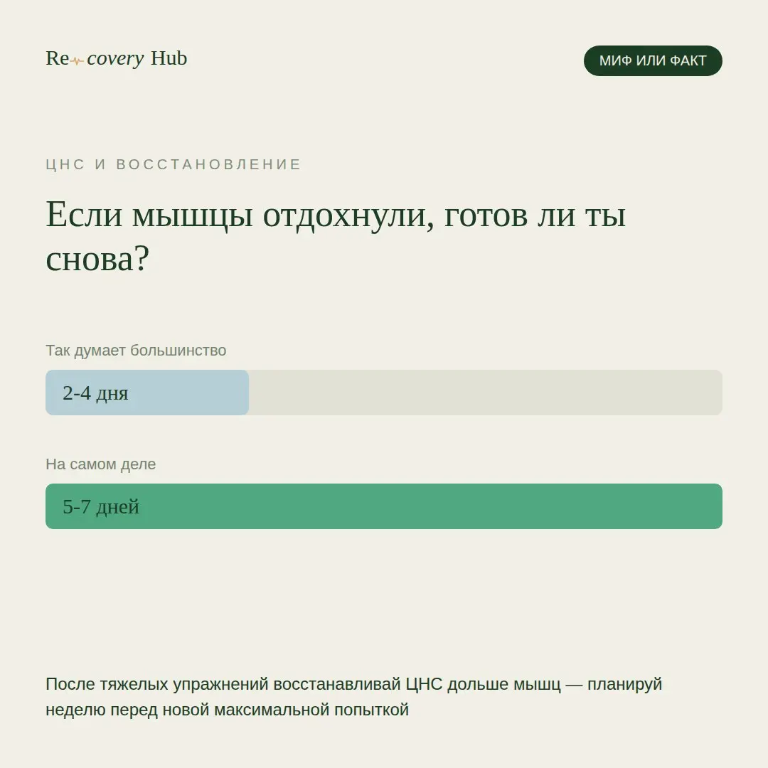 Знаешь тот момент, когда мышцы готовы, но какая-то внутренняя усталость мешает выкладываться? Вот это оно и есть. Мышцы после приседаний, тяги или жима восстанавливаются за 2-4 дня — это факт | Сетка — социальная сеть от hh.ru