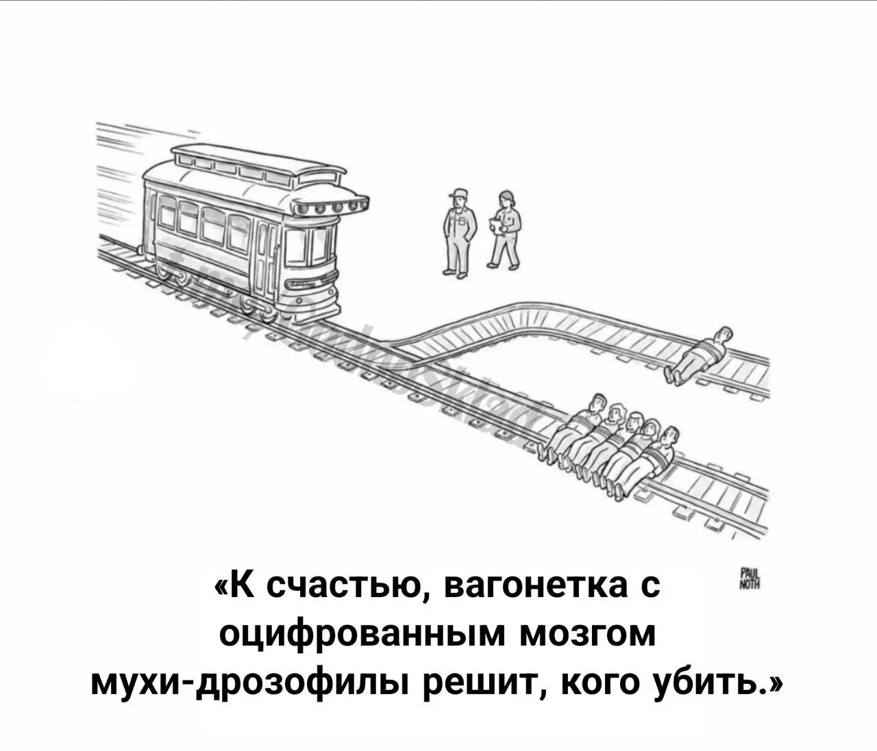 Полная карта нервной системы плодовой мушки.
Как много шума может наделать одна муха? Вот, например, у моей дочери живет кот, и он безумно любит ловить мух | Сетка — социальная сеть от hh.ru