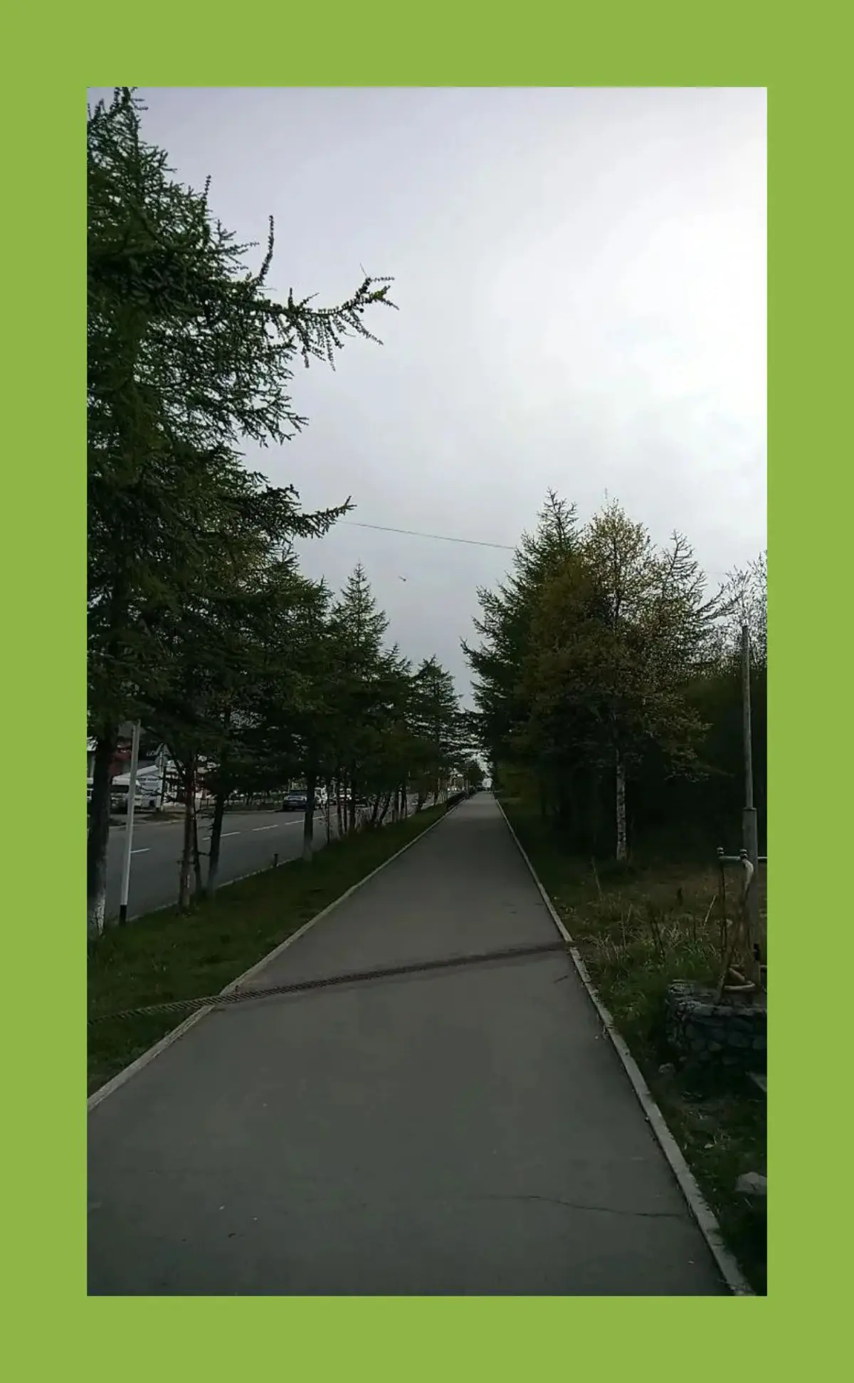 Зелёный / Green | Сетка — социальная сеть от hh.ru