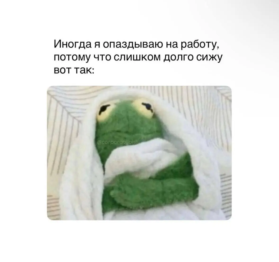 У некоторых уже начинаются похолодания, поэтому утром вставать еще сложнее 😢 | Сетка — социальная сеть от hh.ru