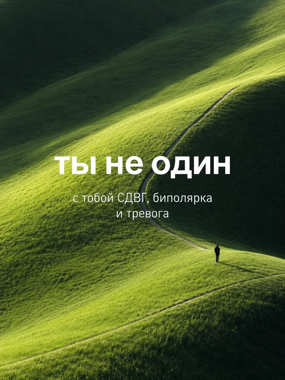 Базовая комплектация современного тревожника.
Доброе утро всем, кто проснулся не один. | Сетка — социальная сеть от hh.ru
