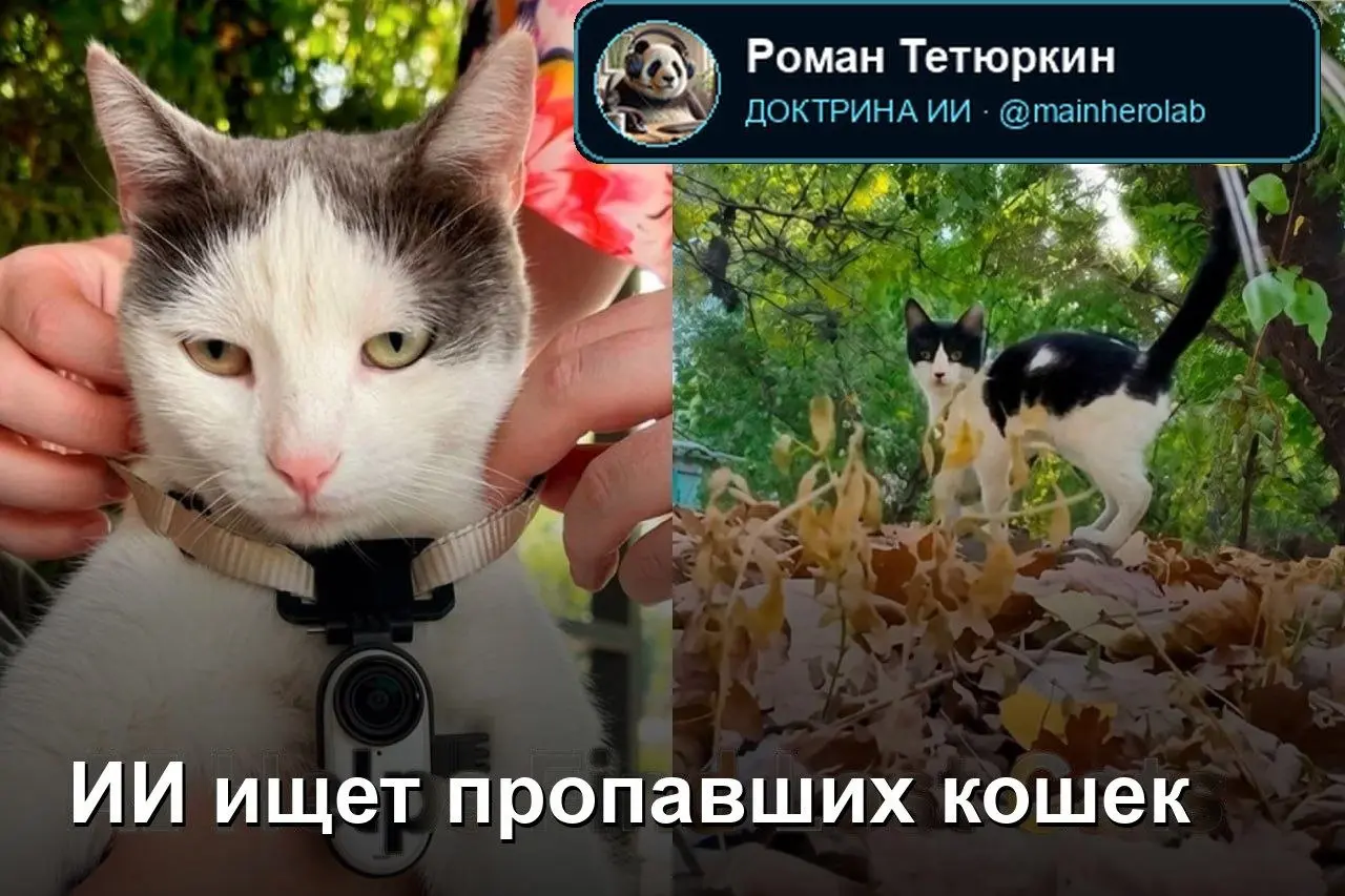 ИИ помогает найти потерявшихся кошек
С 2025 года в Казахстане действует проект loCATor.
Волонтеры оснащают своих уличных кошек камерой и GPS-трекером | Сетка — социальная сеть от hh.ru