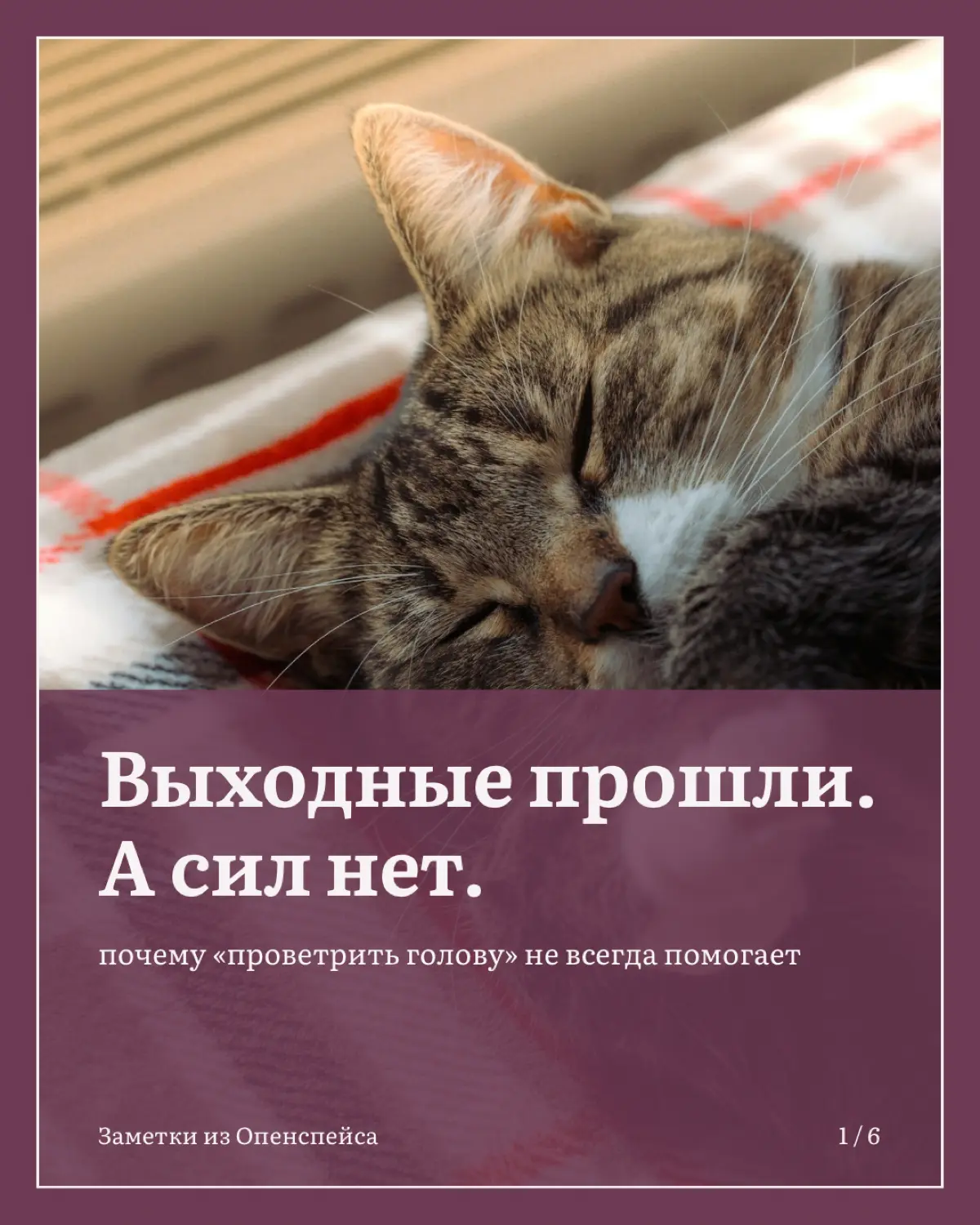 Когда «выходных не хватает» | Сетка — социальная сеть от hh.ru