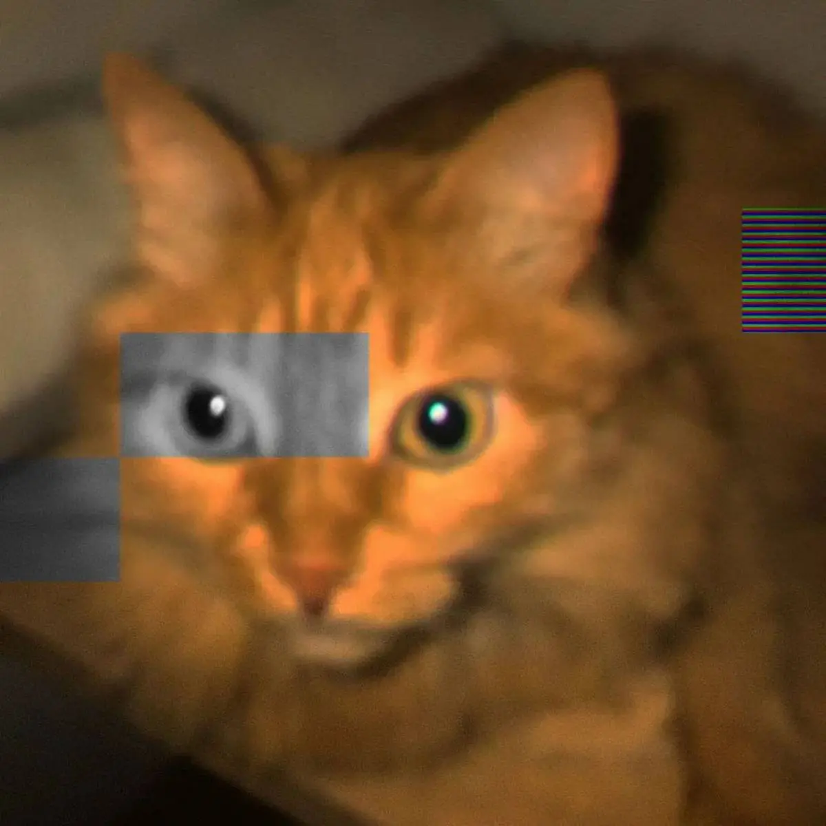 community avatar