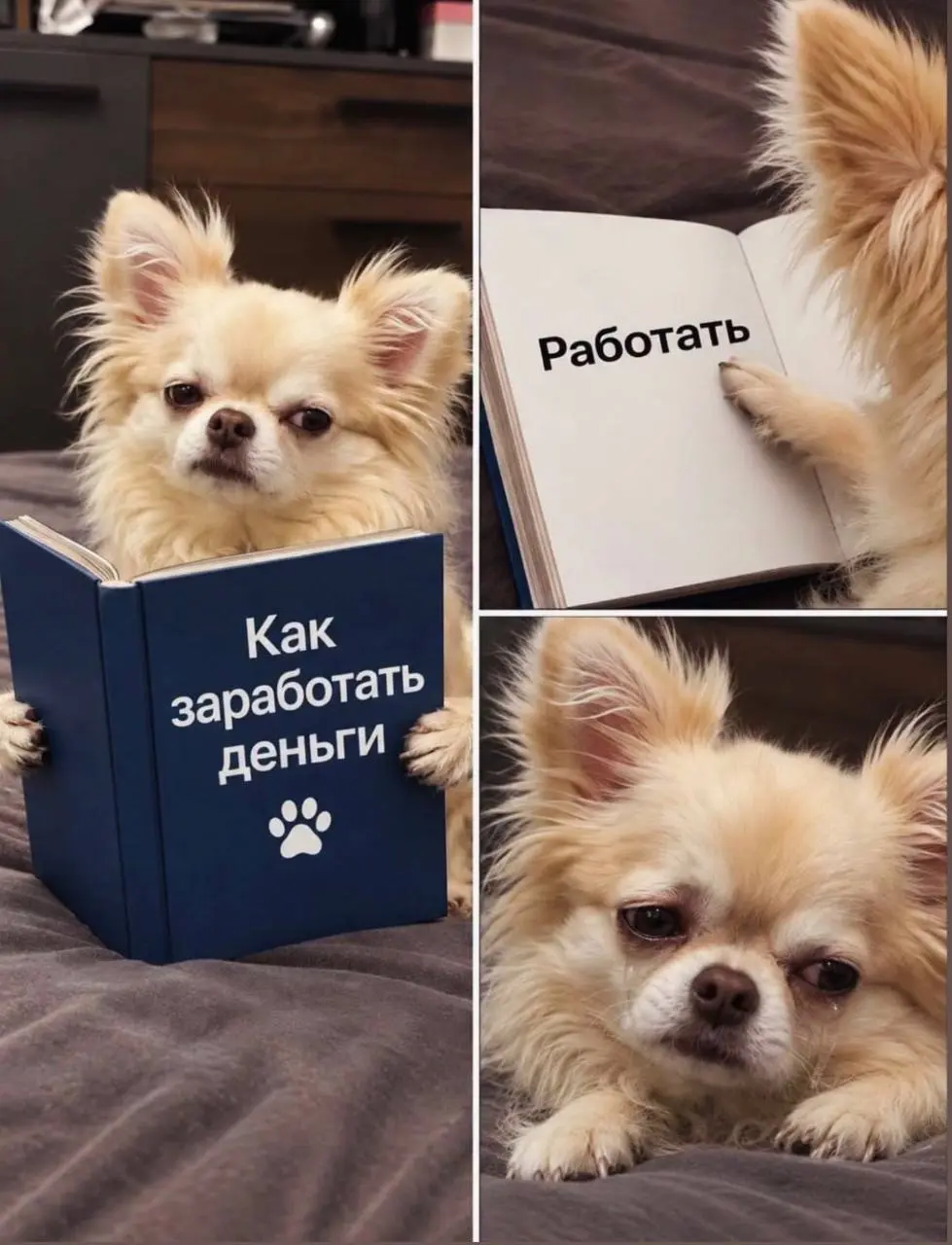В принципе и добавить нечего, всем продуктивного понедельника 🙌 | Сетка — социальная сеть от hh.ru