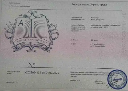 Денис Фрейштадт
