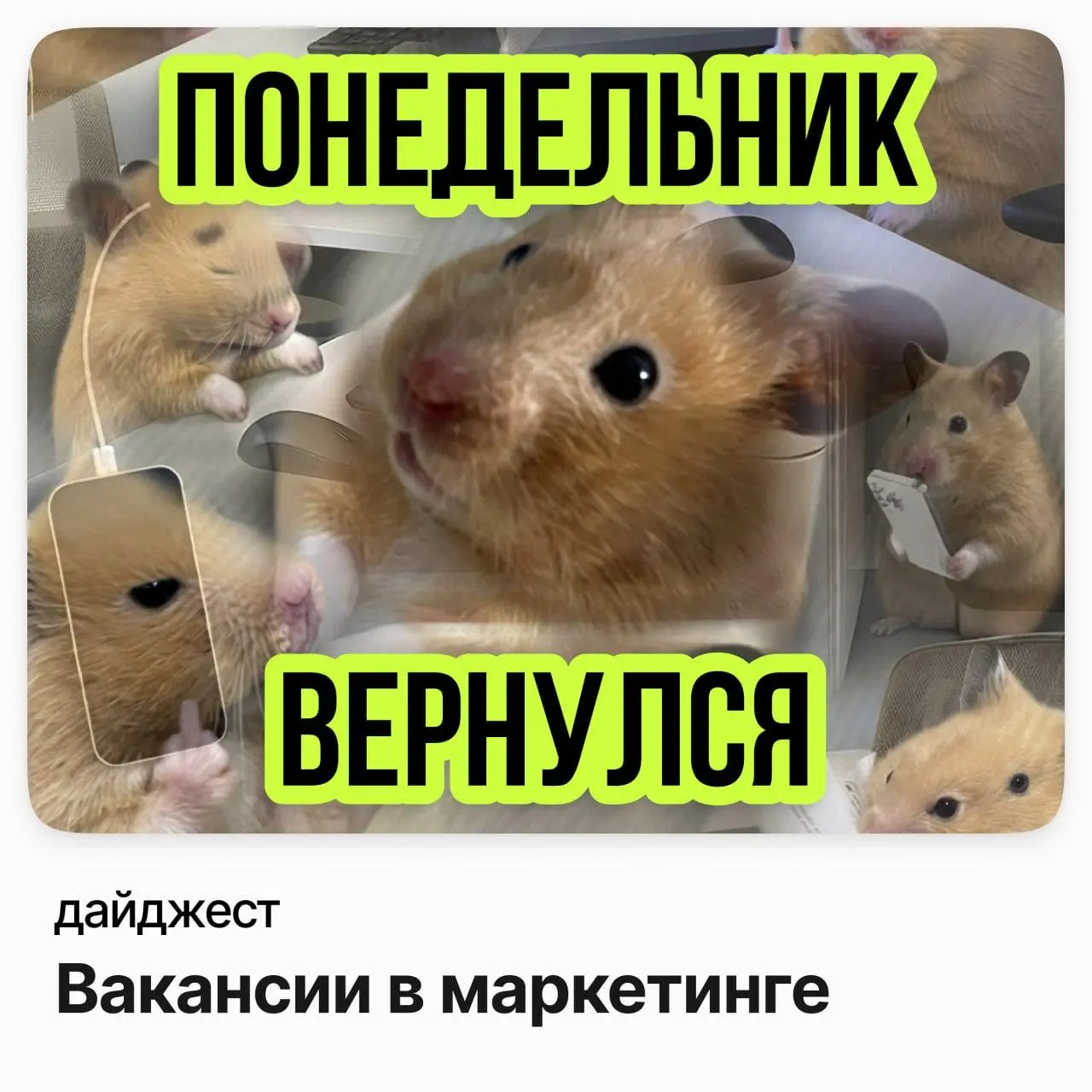 💼💼💼Вакансии в маркетинге
Руководитель направления маркетинга / Uzum Technologies
Зарплата: от 279 000 ₽ /на руки
Подробнее
Руководитель направления ритейл-брендинга / Максидом
Зарплата: от 279 000 ₽ /... | Сетка — социальная сеть от hh.ru