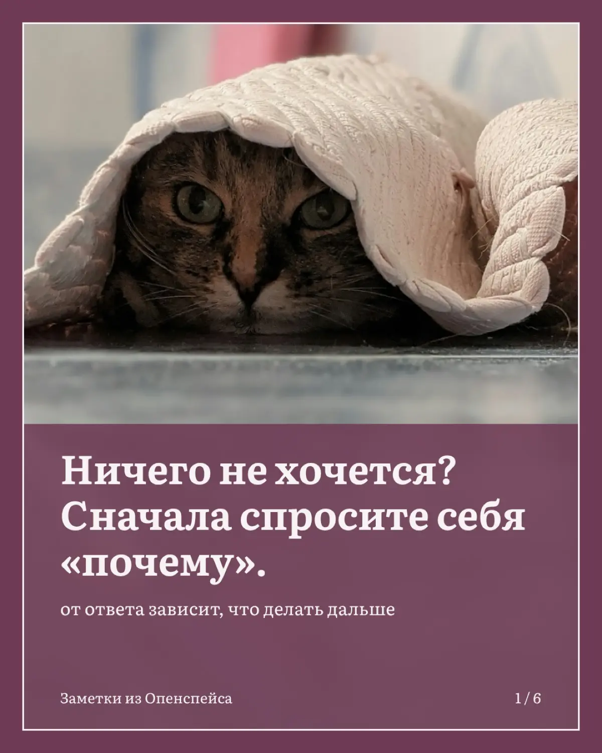 Как быстро взбодриться, когда совсем нет сил | Сетка — социальная сеть от hh.ru