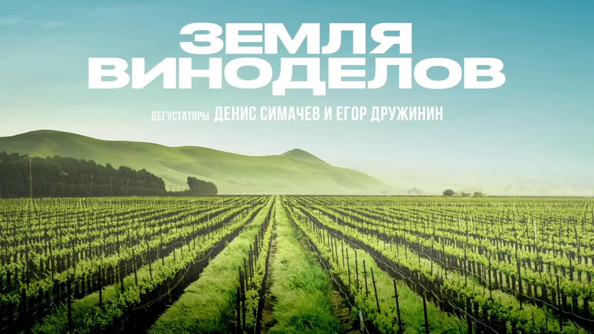 Вино как главный герой | Сетка — социальная сеть от hh.ru
