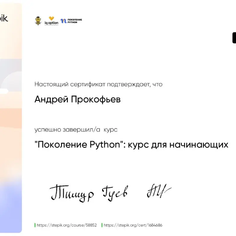Network member avatar
