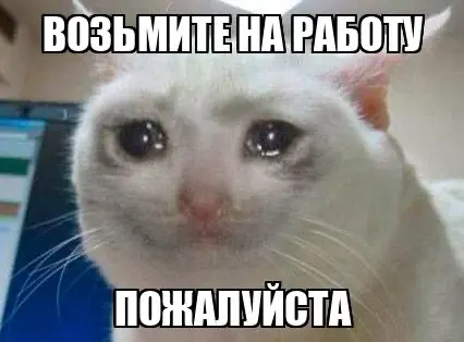 причины посмотреть мое резюме и взять меня в крутую компанию | Сетка — социальная сеть от hh.ru