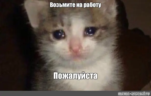 причины посмотреть мое резюме и взять меня в крутую компанию | Сетка — социальная сеть от hh.ru