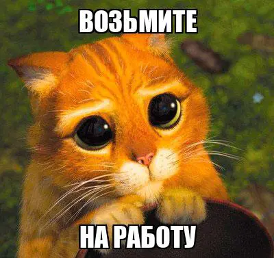 причины посмотреть мое резюме и взять меня в крутую компанию | Сетка — социальная сеть от hh.ru