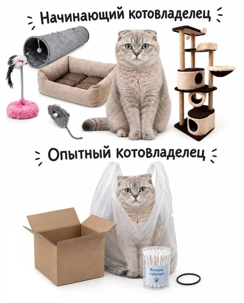 А какой ты ? 😂
От любимого клиента Вали ❤️
БЛОГ В ТГ / БЛОГ В MAX
#Юмор #Коты
В этом посте были ссылки, но мы их удалили по правилам Сетки | Сетка — социальная сеть от hh.ru