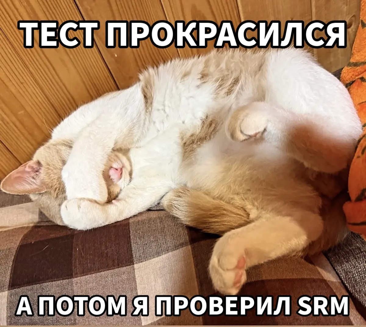 Когда тест прокрасился, а потом ты проверил SRM 📉 | Сетка — социальная сеть от hh.ru