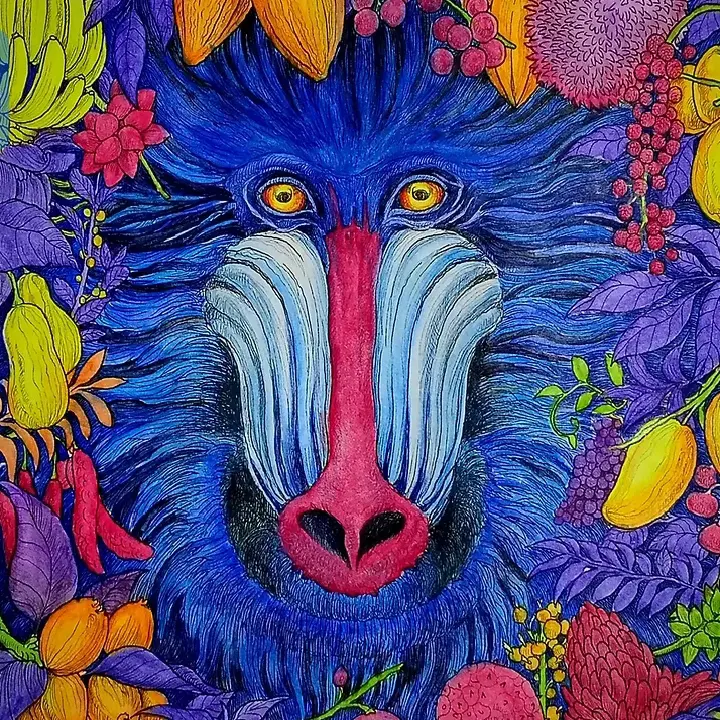 🐒💙🌀🍋🥭🍇🍊🍒 | Сетка — социальная сеть от hh.ru