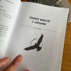 Парите вместе с орлами | Сетка — социальная сеть от hh.ru