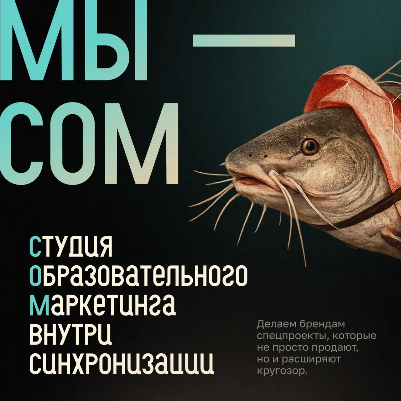Мы — Сом, студия образовательного маркетинга внутри Синхро | Сетка — социальная сеть от hh.ru