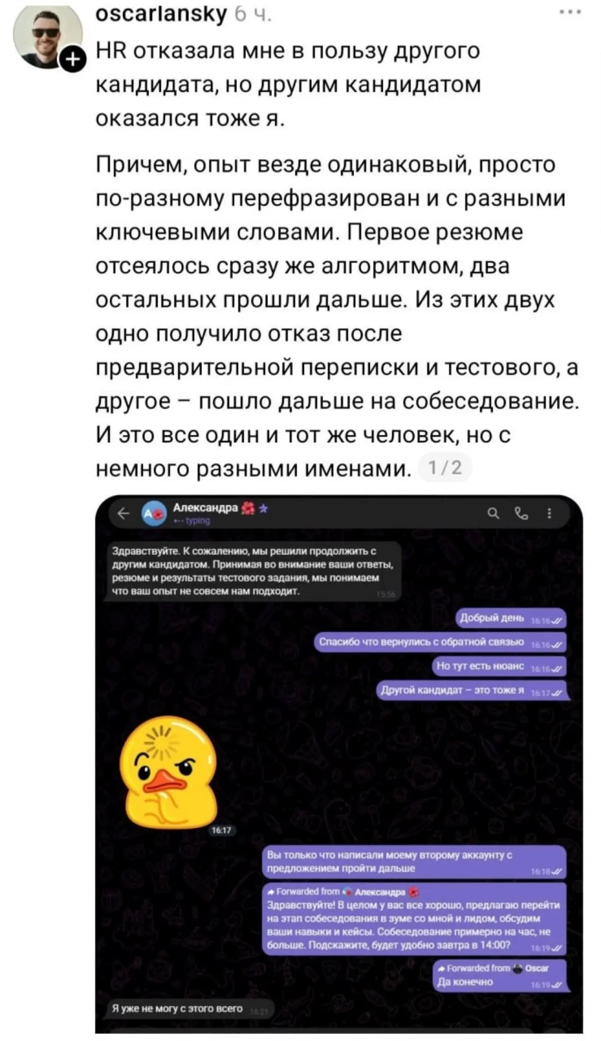 Вот такая вот история, собачка | Сетка — социальная сеть от hh.ru