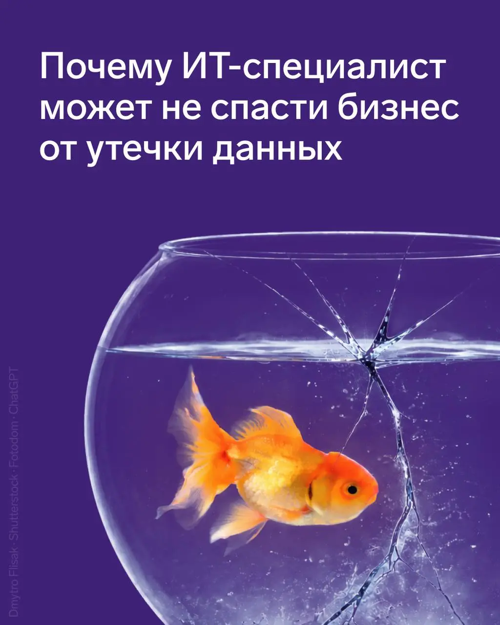Почему ИТ-специалист может не спасти бизнес от утечки данных
В российских компаниях по-прежнему распространен миф: если в штате есть айтишник, то с безопасностью все в порядке | Сетка — социальная сеть от hh.ru