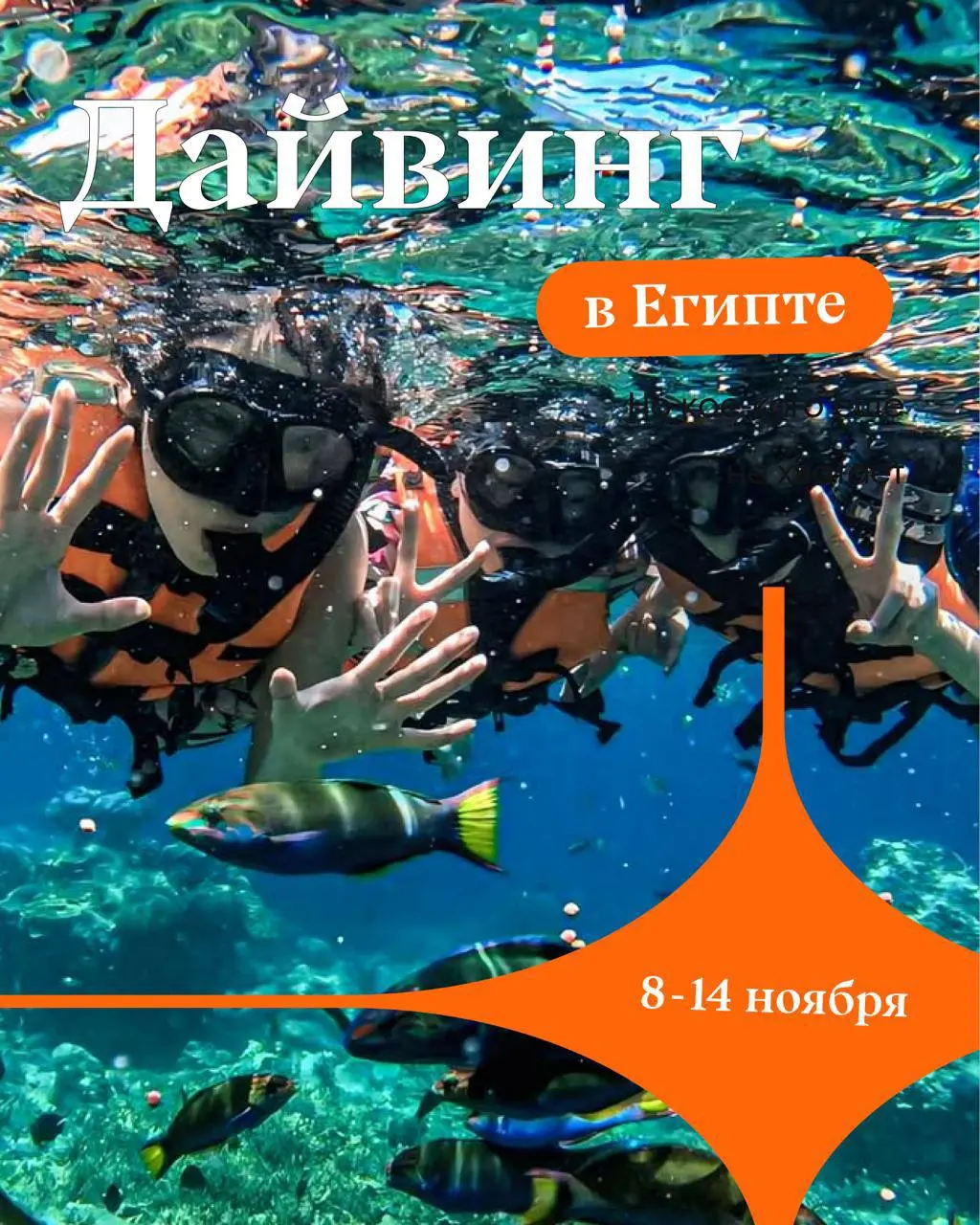 КРАСНОЕ МОРЕ КРАСИВОЕ. НО ВЫ ВИДЕЛИ, ЧТО ТАМ ВНИЗУ? 👀🤿
Спойлер: там отдельная вселенная | Сетка — социальная сеть от hh.ru