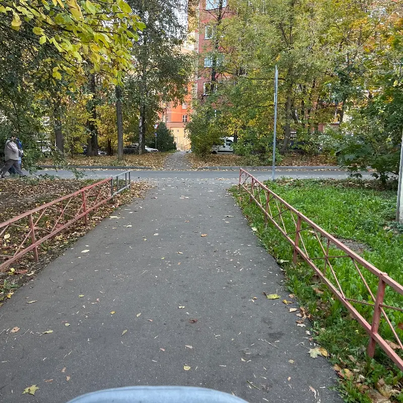 Лия Иванова
